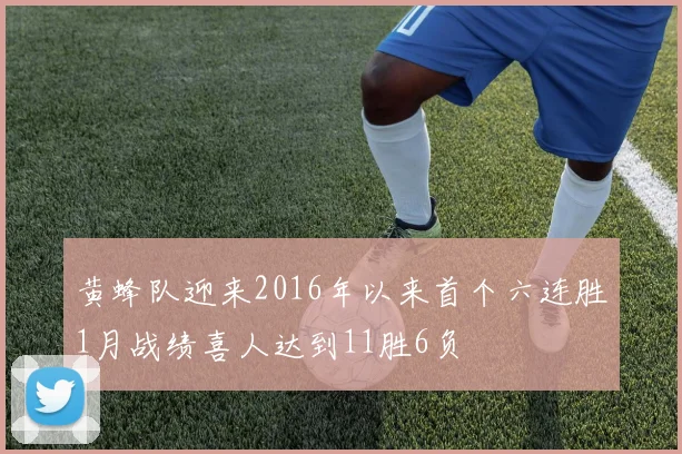 黄蜂队迎来2016年以来首个六连胜1月战绩喜人达到11胜6负