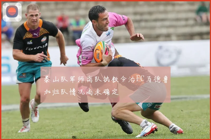 泰山队军师离队执教今治FC马德鲁加归队情况尚未确定