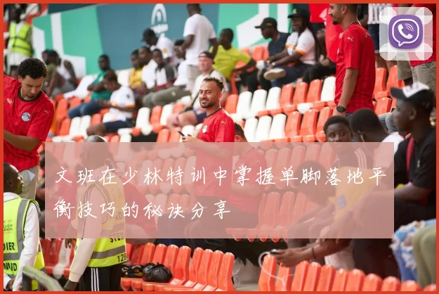 文班在少林特训中掌握单脚落地平衡技巧的秘诀分享
